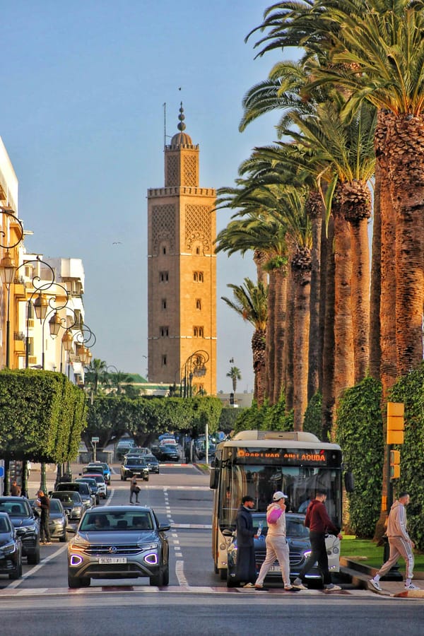 Reframing Societal Reforms: Transitional Multipliers Toward Long-Term Intelligence Equilibrium